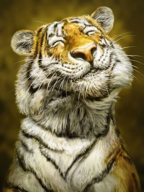 1655175317 955 zobrazhennja z novim 2022 rokom tigra novorichni krasivi listivki - Зображення з Новим 2022 роком Тигра: новорічні, красиві листівки