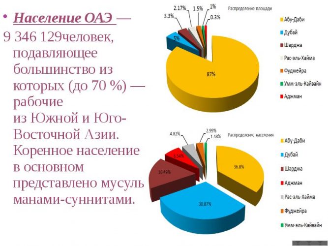 Співвідношення корінного населення та робітників з інших країн в ОАЕ