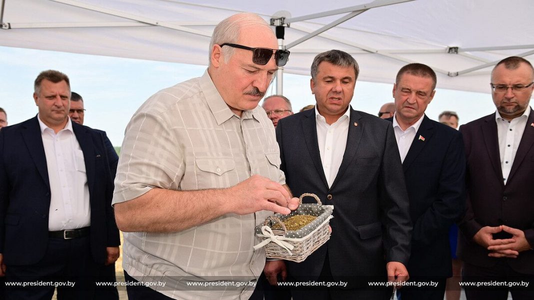Лукашенко посмотрел семечки и сказал: Война на Украине давно бы закончилась, если бы не США и Польша
