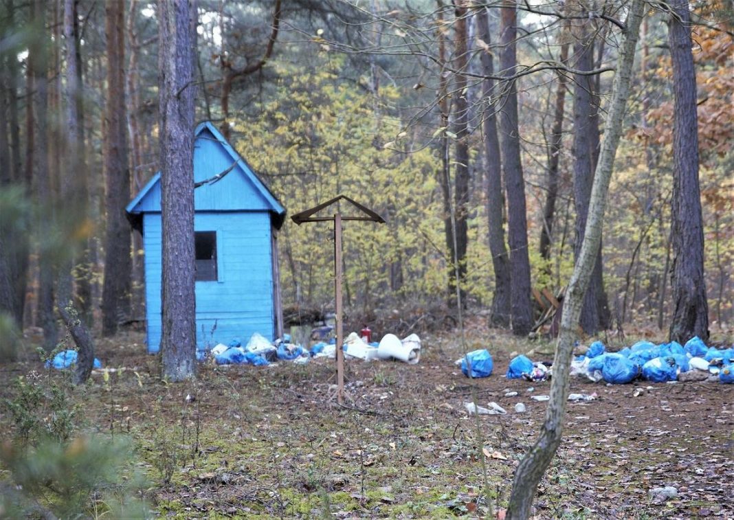  Скубянка.  У центрі Росіяни під Варшавою голодний пес.  «Зображення надто різке»
