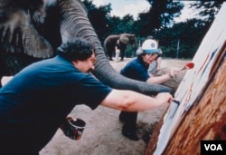 Проект «Екоколаборація».  Живопис із слоном Рене.  1995 Credit: Alexander Melamid and Vitaly Komar