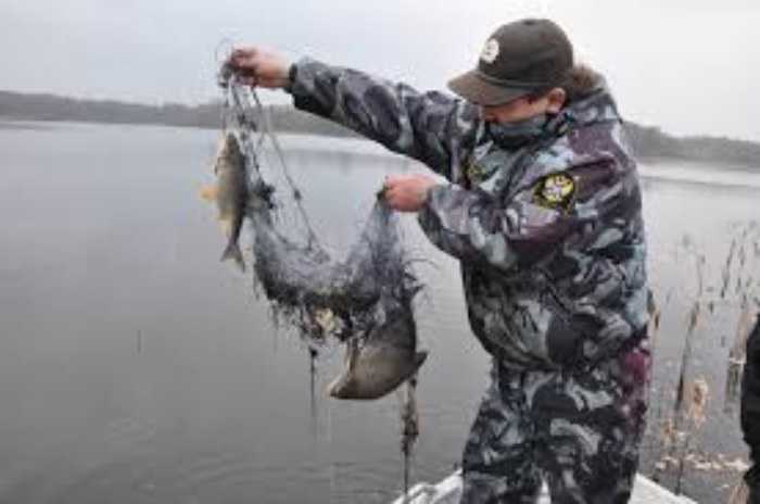 Запрет на лов риби в 2023 році в Україні 2023 року в Україні.  Коли можна ловити рибу?