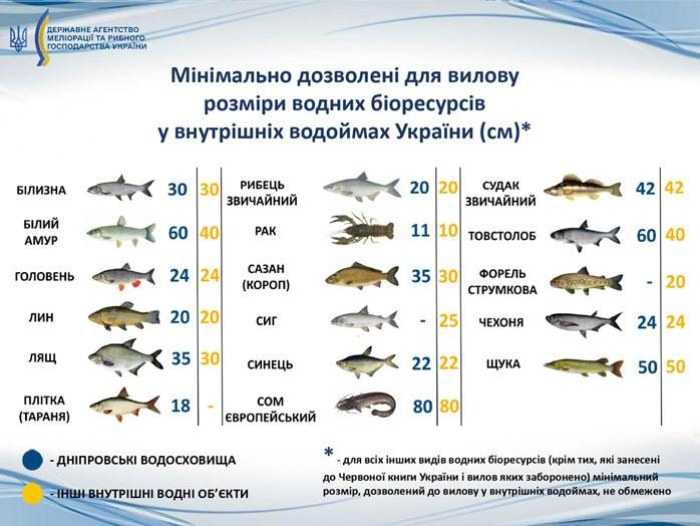 Запрет на ловлю риби в 2023 році в Україні 2023 року в Україні.  Коли можна ловити рибу?