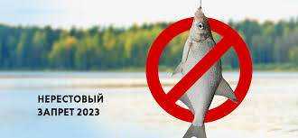 Запрет на лов риби в 2023 році в Україні 2023 року.  Коли можна ловити рибу?