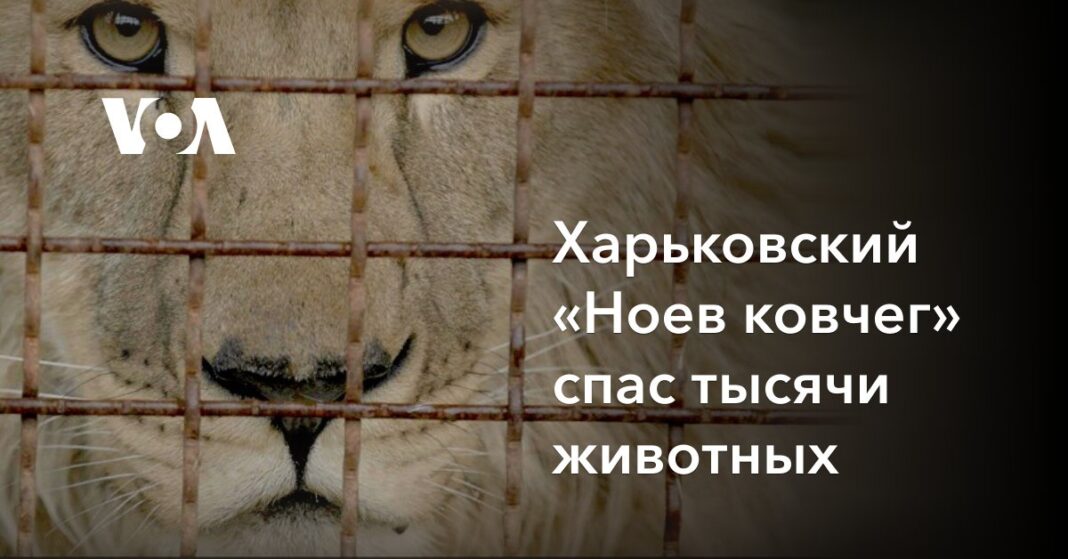 Харківський «Ноїв ковчег» врятував тисячі тварин
